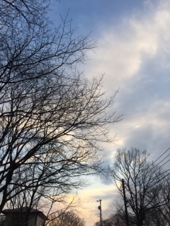 170323