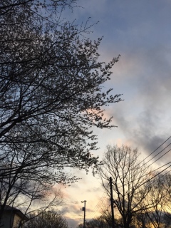 170407