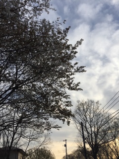 170414