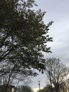 170418