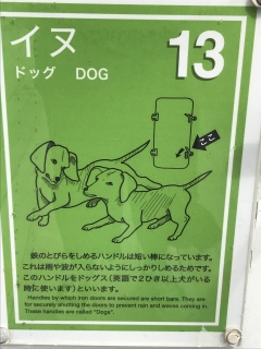 船内