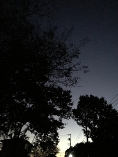 171008