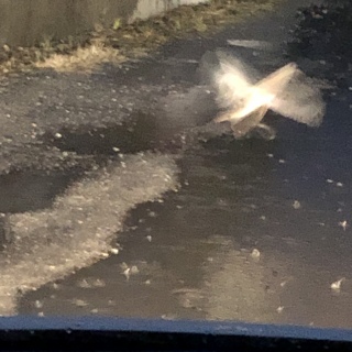 210123
