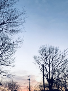 210205
