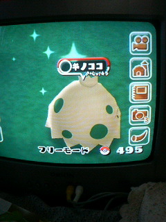 キノココ