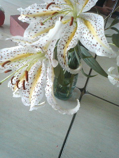 百合の花