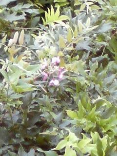 ���I