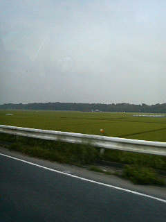 田んぼばっか