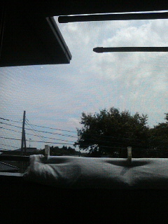 夏って感じ