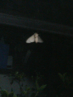 我