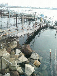�o��̋���