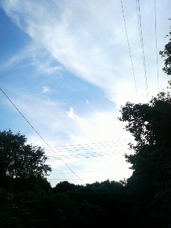 ���ӂ��c